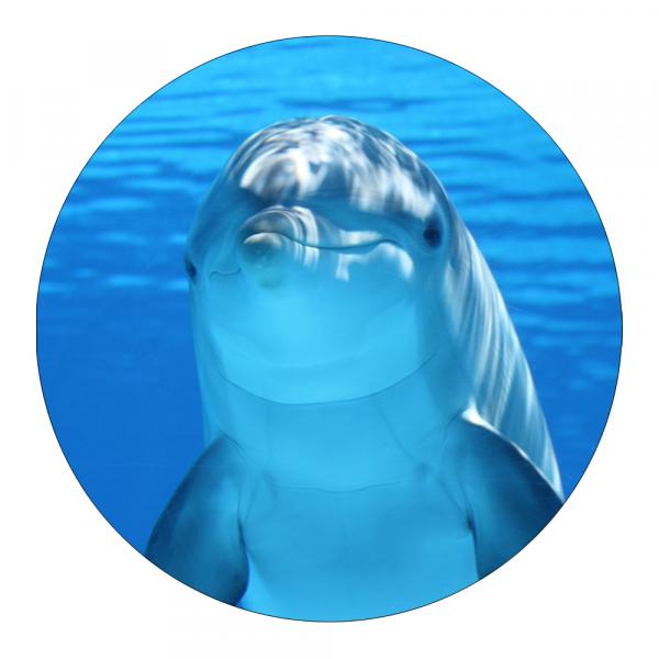 Anti-Rutsch-Duschmatte, Delfin, 55 cm rund, selbstklebend